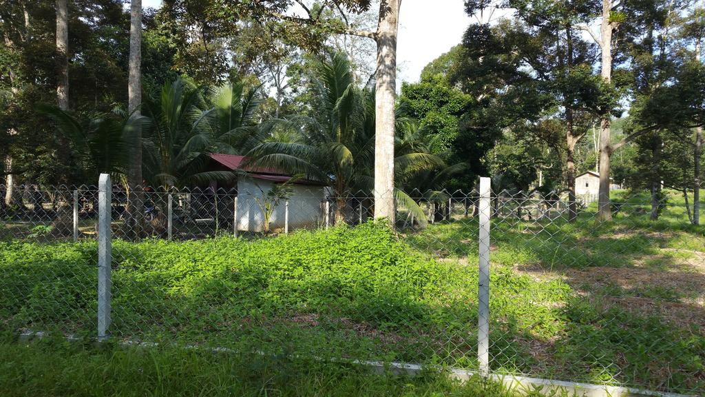 Chalet Kampong Semawar Kuala Kangsar Eksteriør bilde