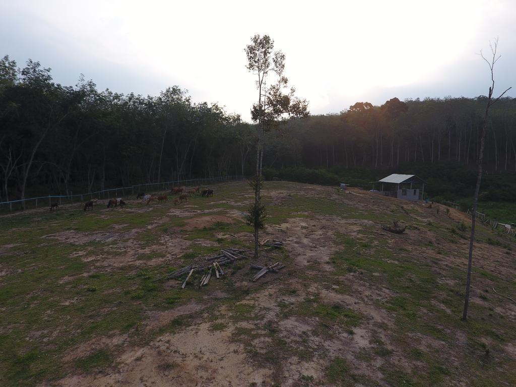 Chalet Kampong Semawar Kuala Kangsar Eksteriør bilde
